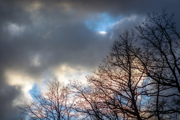 Obraz na płótnie Canvas Bewölkter, bedeckter Himmel in Abendstimmung mit kahlen Bäumen rechts im Vordergrund, Freiraum links