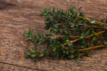 Green Thyme branch