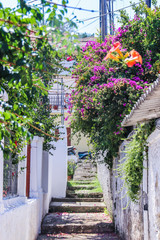 Fototapeta na wymiar Corfu South Mediterranean cosy streets, architecture, design, towns, doors, buildings Greece
