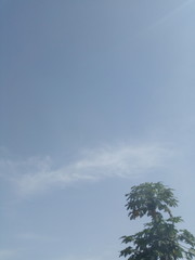 Obraz premium sky and clouds