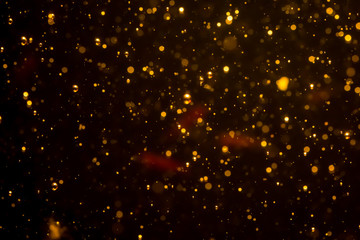 Golden blur glitter  lights abstract bokeh for Merry Christmas and New Year