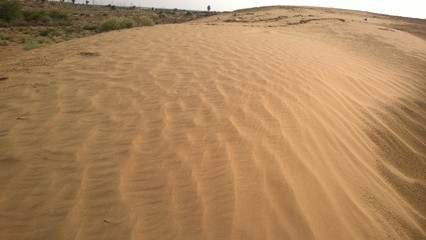 desert