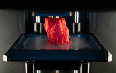 3d printer prints the model of heart, process of printing organs on a 3d printer, creating a model...