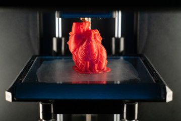 3d printer prints the model of heart, process of printing organs on a 3d printer, creating a model...