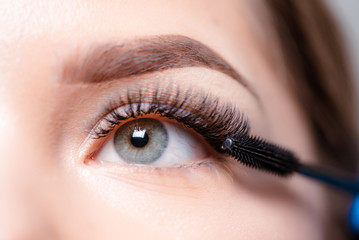 Naklejka premium Eyelash Extension Procedure. Woman Eye with Long Eyelashes. Lashes, close up, macro, selective focus.