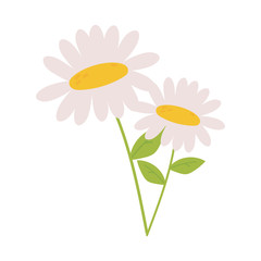 daisy flowers petals stem leaf nature decoration icon