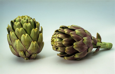 Fototapeta premium Artichaut, Cynara scolymus