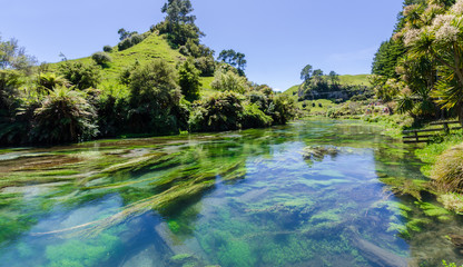 Blue Spring which is located at Te Waihou Walkway,Hamilton New Zealand. It internationally acclaimed supplies around 70% of New Zealand's bottled water because of the pure water.