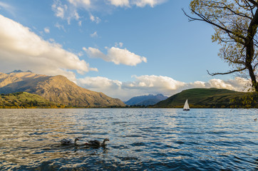 Lakeside of Lake Hayes located in the Wakatipu Basin in Central Otago, South Island in New Zealand