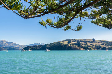 Akaroa which is located at the south island of New Zealand.