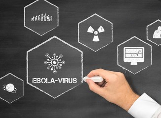 Ebola-Virus