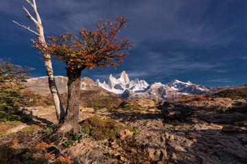 Fitz Roy Mountain in autumn, Patagonia, Argentina.