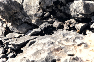 flat close up for a textured rock