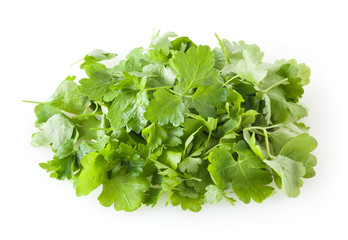 Obraz premium Fresh parsley leaves isolated on white background