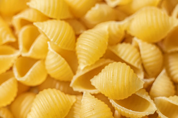 Background Of Are Plane Of Shell Pasta Raw Texture 