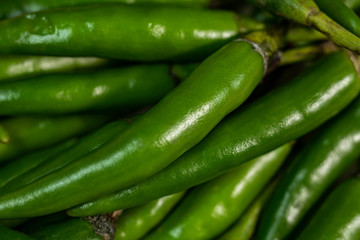Background Of Are Plane Of Green Chili Raw Texture 