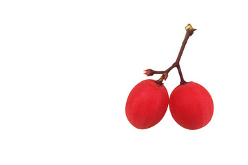 Creative layout made of fruits. Flat lay ,nature backdrop isolated on white background, clipping path included.