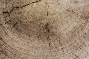 Naklejka premium wood texture background with old natural patterns