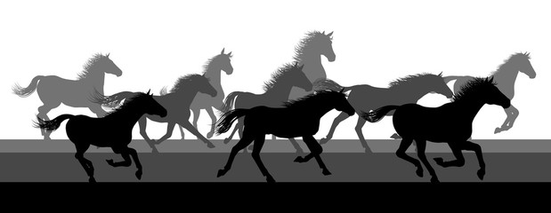 A running or stampeding herd of wild horses in silhouette