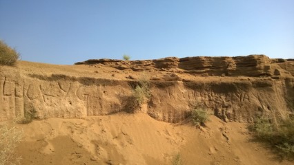 desert landscape in the desert