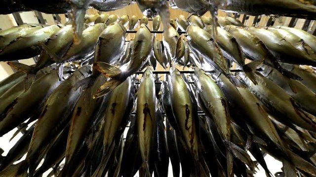 fish hang smoked factory rack row prepared
