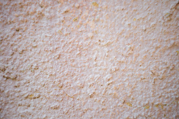 Plaster under a fur coat. Relief porous wall surface. Texture, background or backdrop.