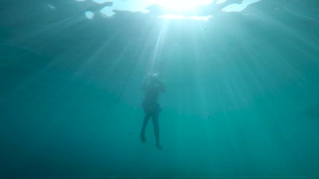 Fish swimming around a silhouette man floating on the surface of water with rays of sunlight in background, bottom of the sea POV