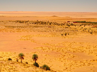 Fototapeta na wymiar Sahara Desert near the city of Timimoun, Algeria