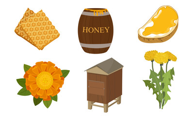 Set of different objects and stages of honey production vector illustration