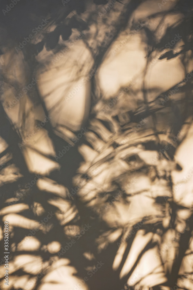Poster tree leaves shadow on wall nature abstract background