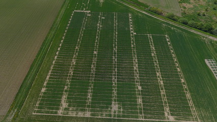 DCIM\100MEDIA\DJI_0071.JPG