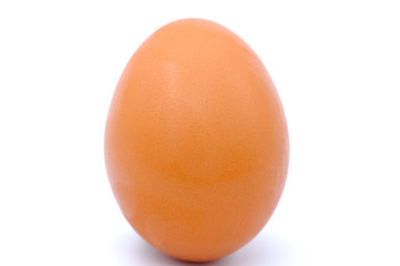 chicken egg isolated on white background
