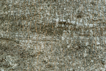 texture of stone