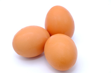 chicken egg isolated on white background
