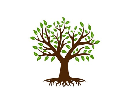 Eco tree logo