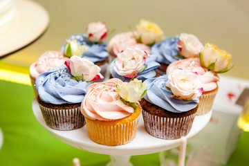 Colorful Cupcakes with Cream and Roses