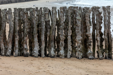 Big breakwater, 3000 trunks to defend the city from the tides, Plage de l'Éventail beach in...