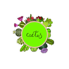 Round label of bright colored cacti and succulents. Icon for flower shop, mexican flora. Isolated vector plants are drawn by hands on a white background with the inscription in the center.