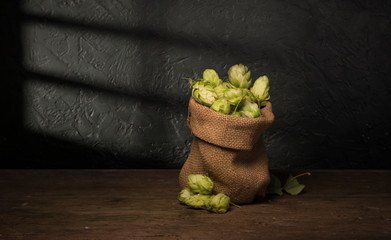 Green hops, malt, ears of barley and wheat, ingredients to make beer and bread, agricultural background.