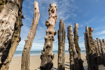 Big breakwater, 3000 trunks to defend the city from the tides, Plage de l'Éventail beach in...