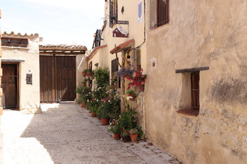 Fototapeta premium Paisaje rural