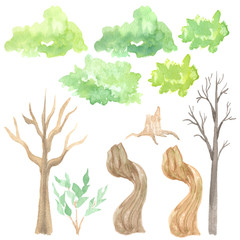 Watercolor set of trees and deciduous crown. Perfect in print design, textile, souvenir products,...