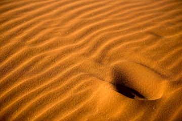 ripples in the sand