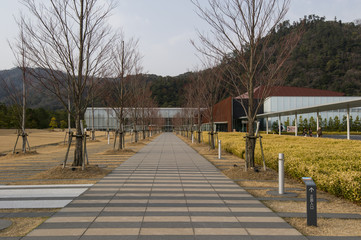 古代出雲大社博物館