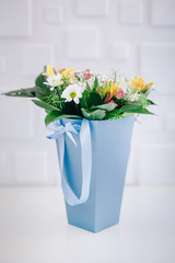 Field of vineyards with yellow leaves in autumn