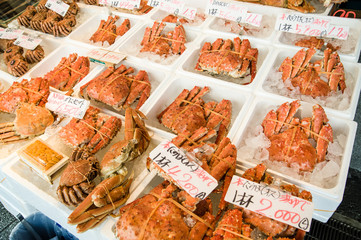 ズワイガニ　ずわい蟹