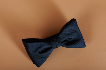 Blue neck bow tie