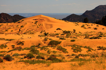 Fototapeta na wymiar Utah / USA - August 22, 2015: Sand and dunes area in Coral Pink Sand Dunes State Park, Utah, USA