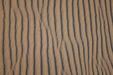 texture of sand