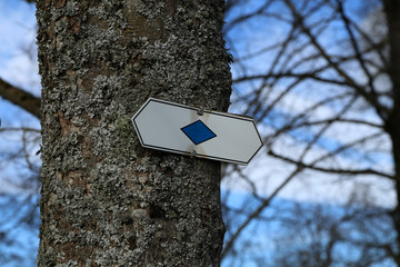 Direction signs on trees in the forest